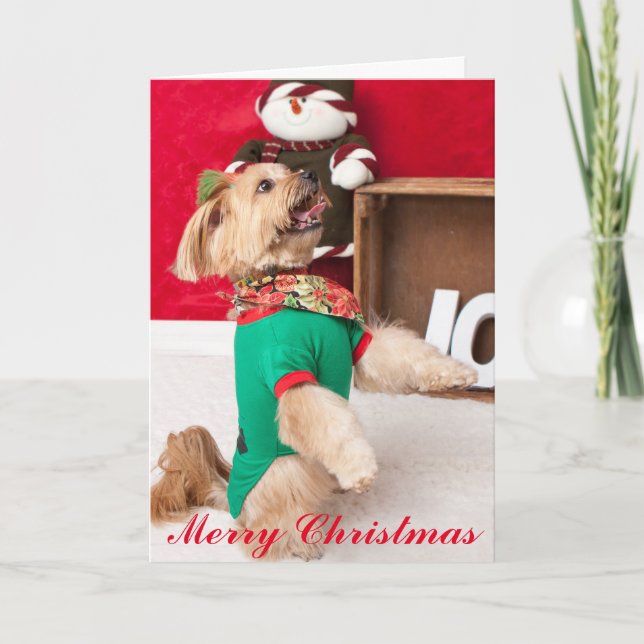 Joey besorgt für Weihnachten (2015) (Vorderseite)