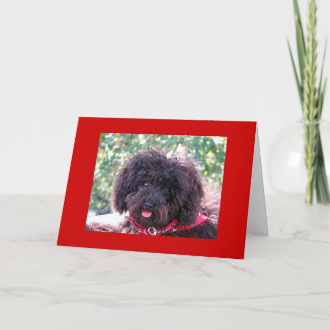 Joey "Danke" Dankeskarte (Vorderseite)