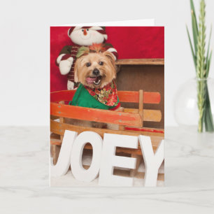 Joey, der sich vorbereitet, Sankt zu helfen Feiertagskarte