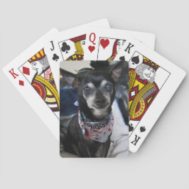 Joey die Chihuahua Spielkarten