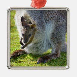 Joey in der Tasche Ornament Aus Metall