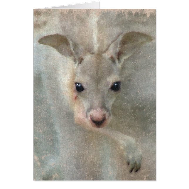 Joey - Pastels (Vorne)