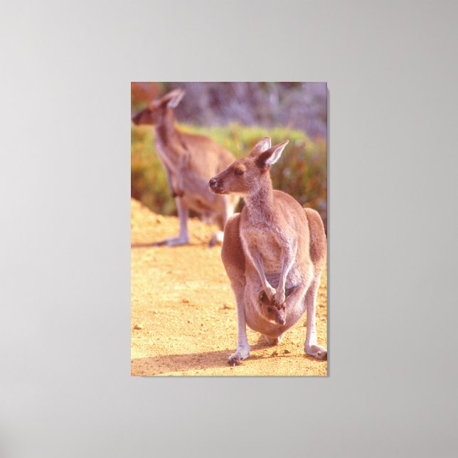 JOEY und MAMA 32x48 Leinwanddruck (Vorderseite)