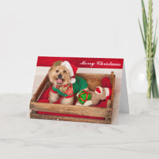 Joey wünscht jeder frohen Weihnachten