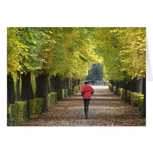 Jogger (Vorderseite (Horizontal))