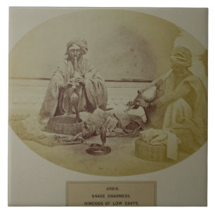 Jogis oder Schlangenbeschwörer, niedrige Fliese