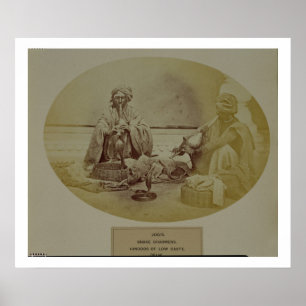 Jogis oder Schlangenwirte, Hindus in der unteren K Poster