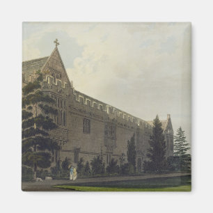 Johannes-Uni aus dem Garten gesehen, Illustrat Magnet