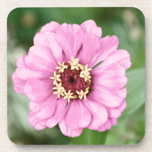 Johann's Beauty Cork Untersetzer