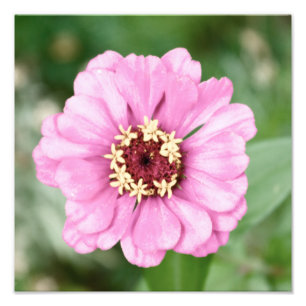 Johann's Beauty Foto