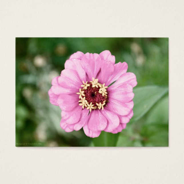 Johann's Beauty Mini Print (Vorderseite)