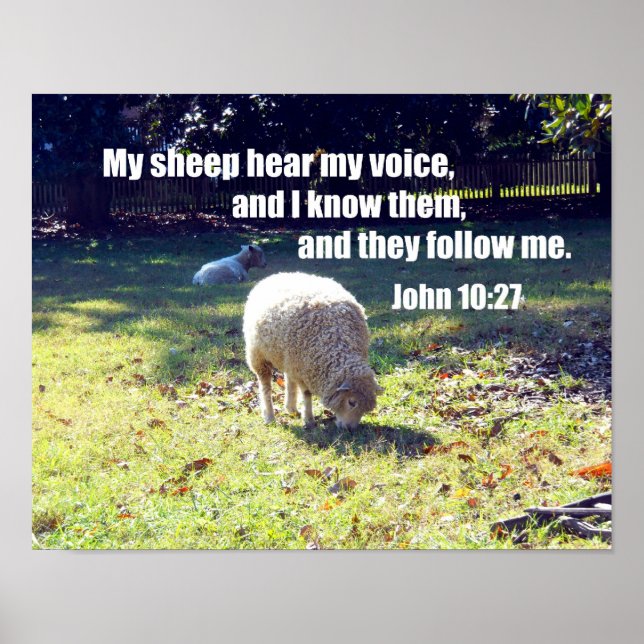 John 10:27 poster (Vorne)