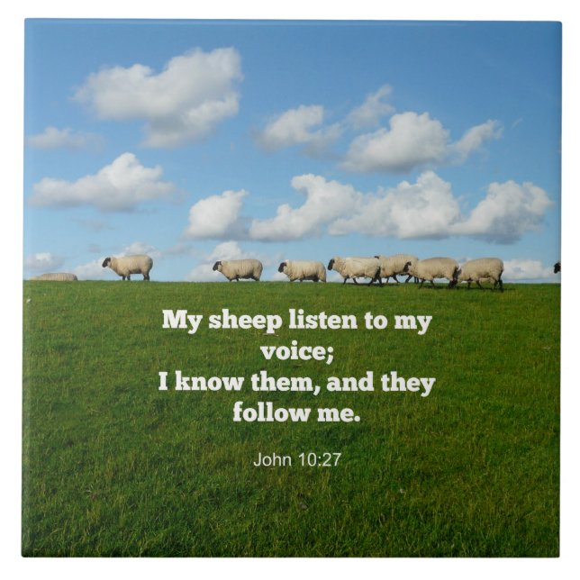 John 10:27, Vers der Schrift, Fliese (Vorderseite)