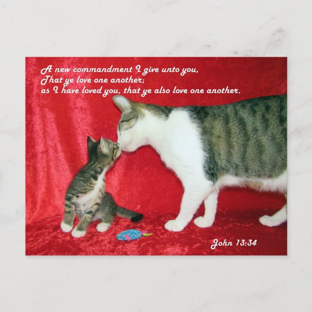 John 13:34 Bible Verse Postcard Postkarte (Vorderseite)