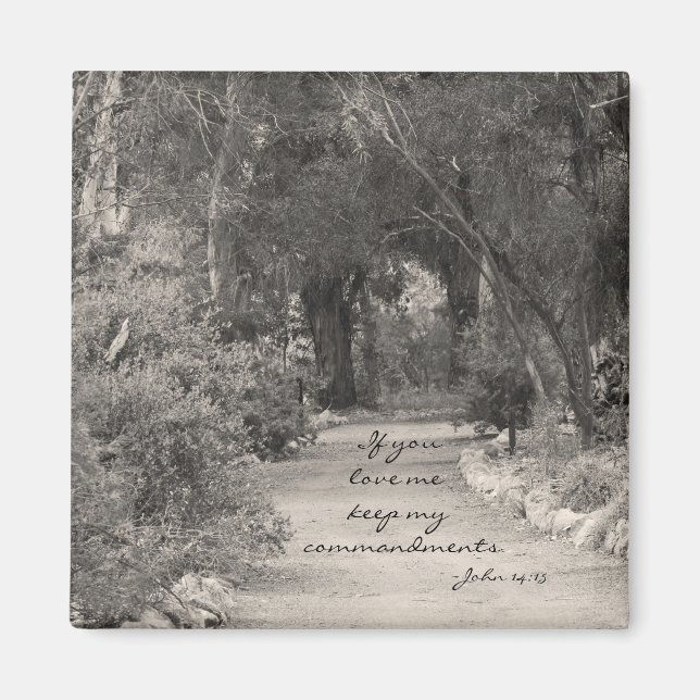 John 14:15 path Foto Magnet (Vorne)