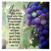 John 15:5 I Am the Vine You are the Zweig Bibel