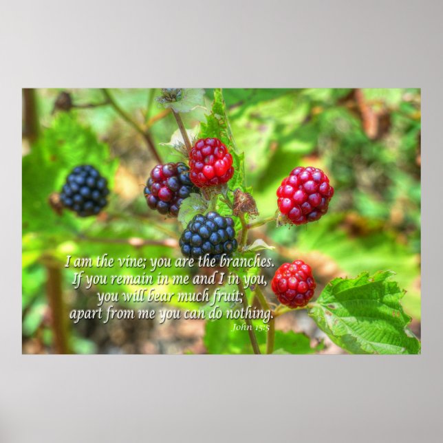 John 15:5 poster (Vorne)