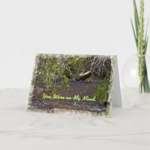 John 16:33 Ermutigungskarte Karte