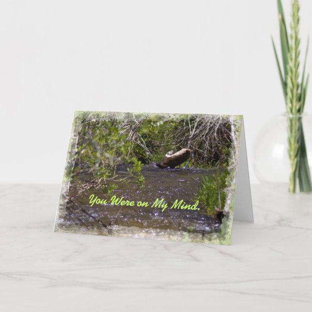 John 16:33 Ermutigungskarte Karte (Vorderseite)