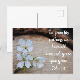 John 1:16 Wilde Kirsche Blume Postkarte