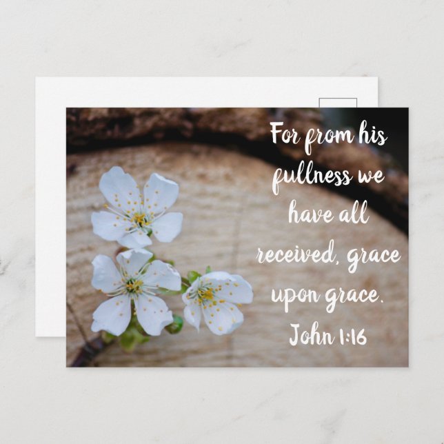 John 1:16 Wilde Kirsche Blume Postkarte (Vorne/Hinten)