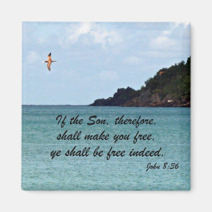 John 8:36 magnet