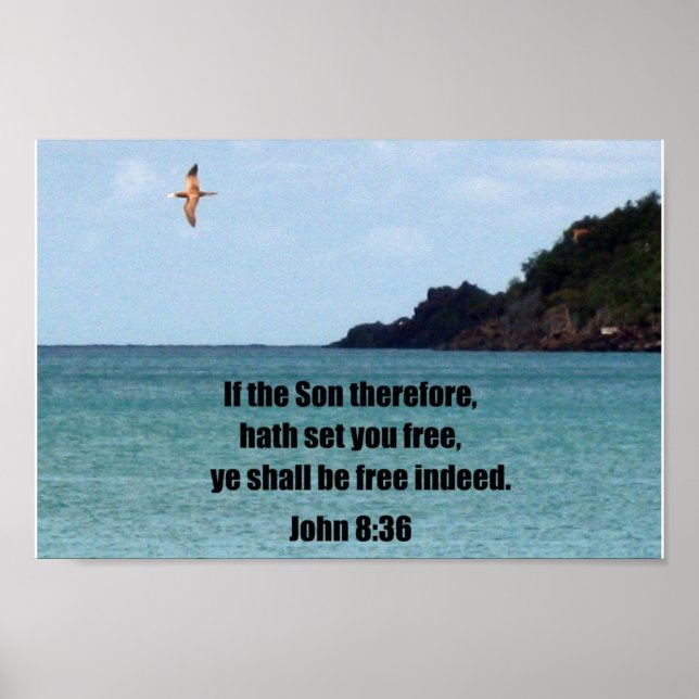 John 8:36 poster (Vorne)