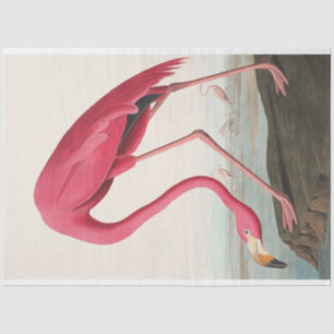 John Audubon Flamingo Pink Artwork Dekoupaging Seidenpapier