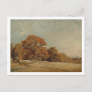 John Constable   Eine autochthone Landschaft in Ea Postkarte