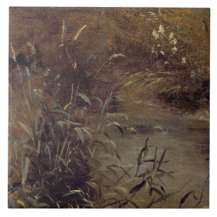 John Constable   Rost durch einen Pool, c.1821 (Ö Fliese