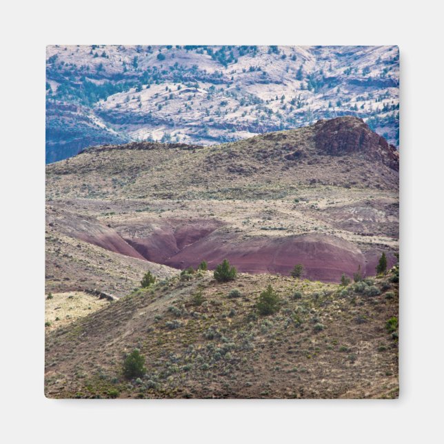 John Day Fossil Beds National Monument, Oregon Magnet (Vorne)