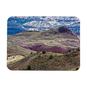 John Day Fossil Beds National Monument, Oregon Magnet