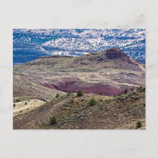 John Day Fossil Beds National Monument, Oregon Postkarte (Vorderseite)