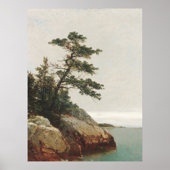 John Frederick Kensett Old Pine Landscape Print Poster (Vorne)