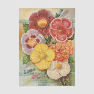 John Gardiner Vintage Flower Catalog, 1896 Seidenpapier