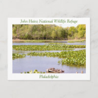 John Heinz National Wildlife Refuge