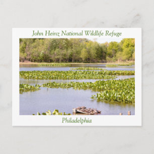 John Heinz National Wildlife Refuge Postkarte