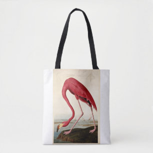 John James Audubon, American Flamingo,