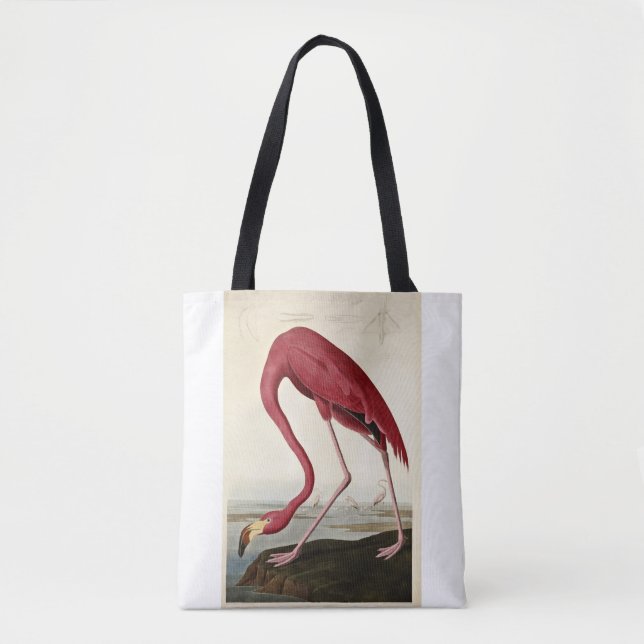 John James Audubon, American Flamingo, (Vorderseite)