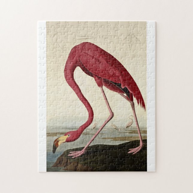 John James Audubon - Amerikanischer Flamingo Puzzle (Vertikal)