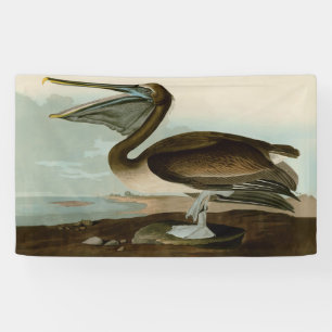 John James Audubon Brauner Pelikan Kunstwerk Maler Banner