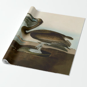 John James Audubon Brauner Pelikan Kunstwerk Maler Geschenkpapier