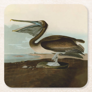 John James Audubon Brauner Pelikan Kunstwerk Maler Rechteckiger Pappuntersetzer