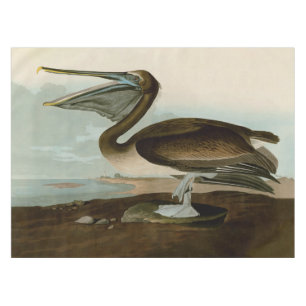 John James Audubon Brauner Pelikan Kunstwerk Maler Tischdecke