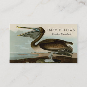 John James Audubon Brauner Pelikan Kunstwerk Maler Visitenkarte