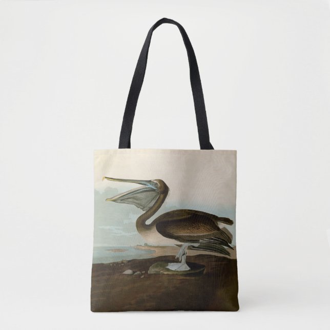 John James Audubon Brown Pelican Artwork Painting (Vorderseite)