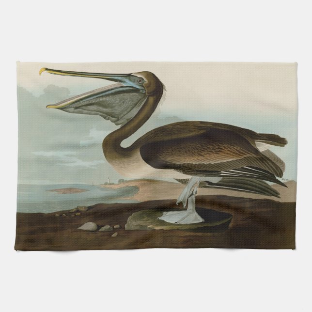 John James Audubon Brown Pelican Artwork Painting Geschirrtuch (Horizontal)