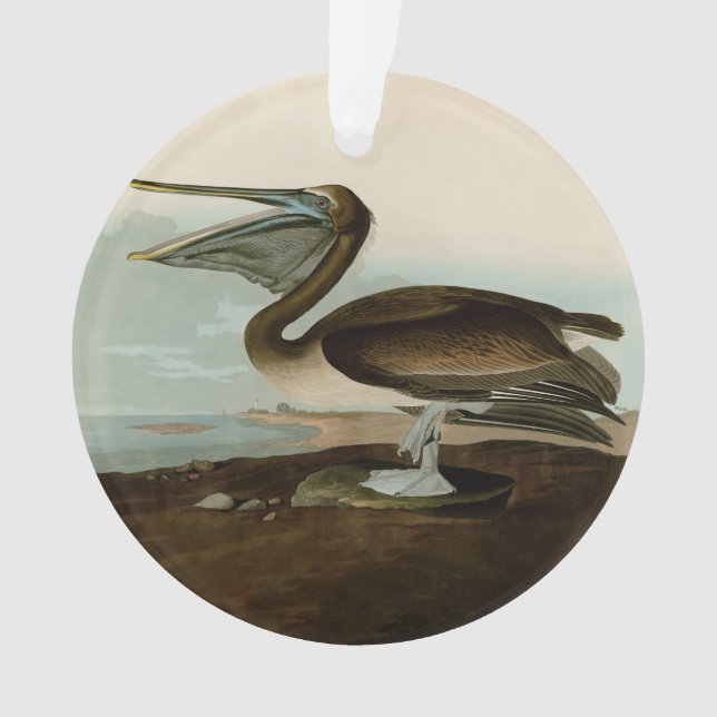 John James Audubon Brown Pelican Artwork Painting Ornament (Vorderseite)