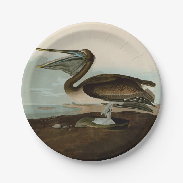 John James Audubon Brown Pelican Artwork Painting Pappteller (Vorderseite)