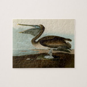 John James Audubon Brown Pelican Artwork Painting Puzzle